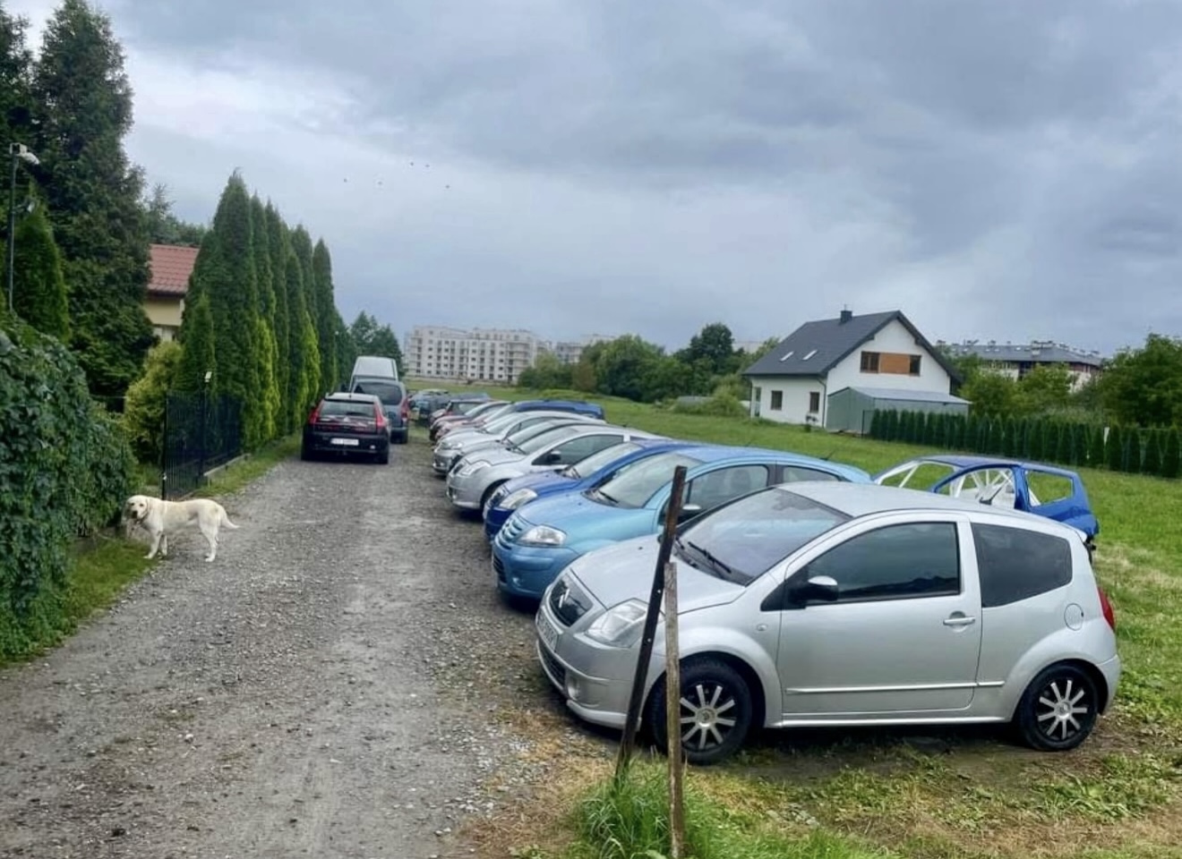 Citroën C2 - serwis skrzyni półautomatycznej SensoDrive K&K C2